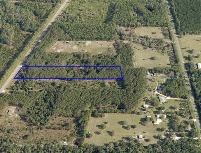 4205 Highway 100 Bunnell, FL 32110 - Photo 2 of 2 a view of a yard with a pathway