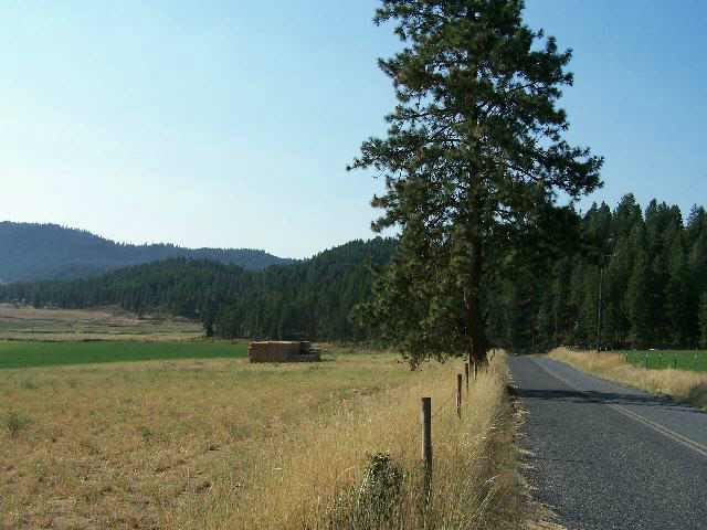 Lot 2 Swiss Valley Road Addy, WA 99101 - Photo 3 of 5