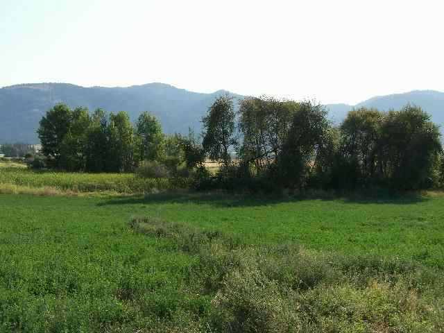 Lot 2 Swiss Valley Road Addy, WA 99101 - Photo 4 of 5