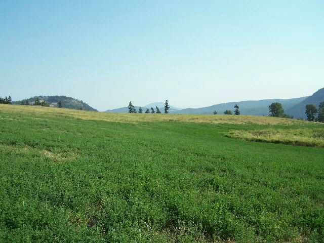 Lot 2 Swiss Valley Road Addy, WA 99101 - Photo 5 of 5