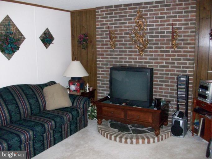 5241 Dickerson Road Partlow, VA 22534 - Photo 12 of 20 Lovely Brick Fireplace