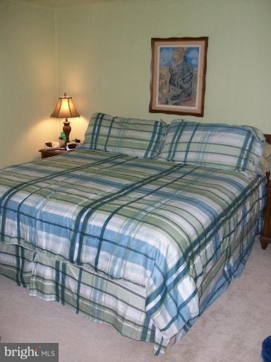 5241 Dickerson Road Partlow, VA 22534 - Photo 20 of 20 Nice King Sized bed no problem
