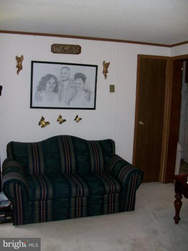 5241 Dickerson Road Partlow, VA 22534 - Photo 8 of 20 Family Room