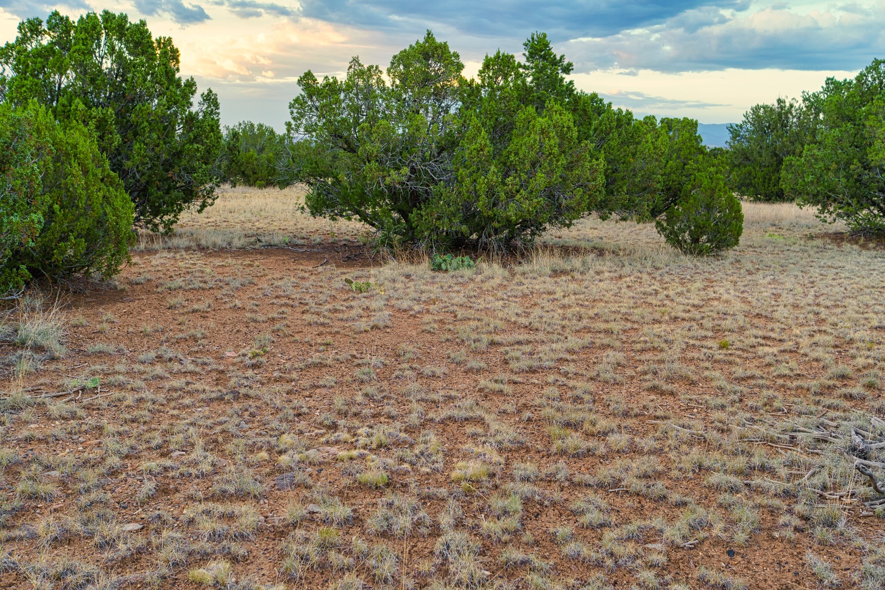 176 Wagon Trail Road Cerrillos, NM 87010 - Photo 11 of 35