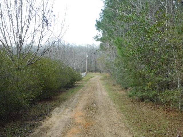 291 Fox Trail Road Picayune, MS 39466 - Photo 20 of 25 Gallery Image 20