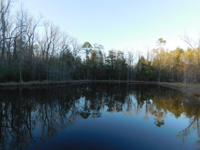 291 Fox Trail Road Picayune, MS 39466 - Photo 23 of 25 Gallery Image 23
