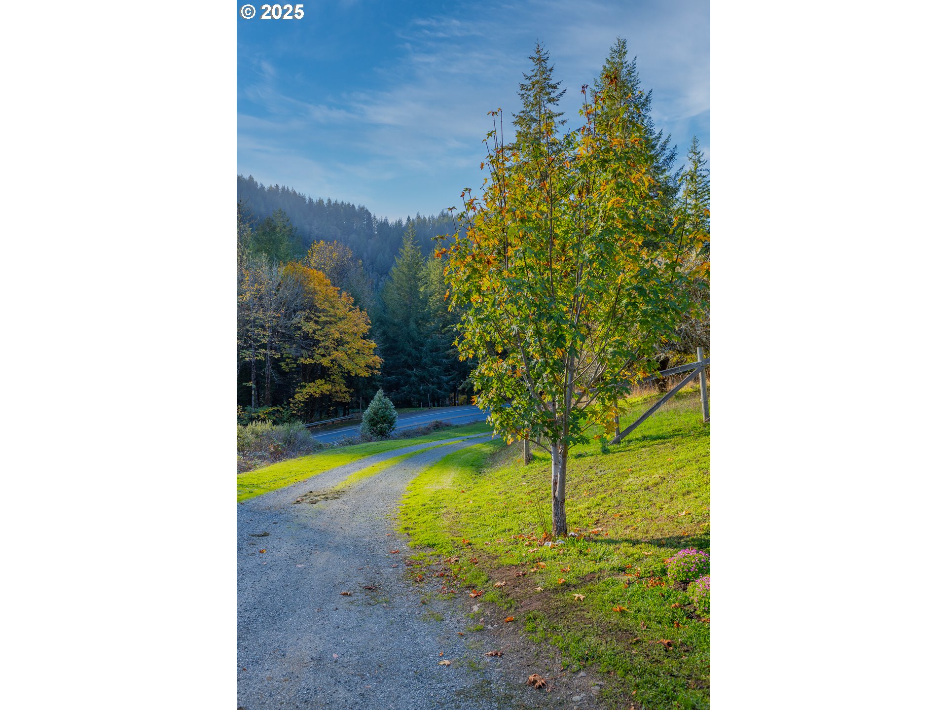 15779 Highway 42 Myrtle Point, OR 97458 - Photo 19 of 33