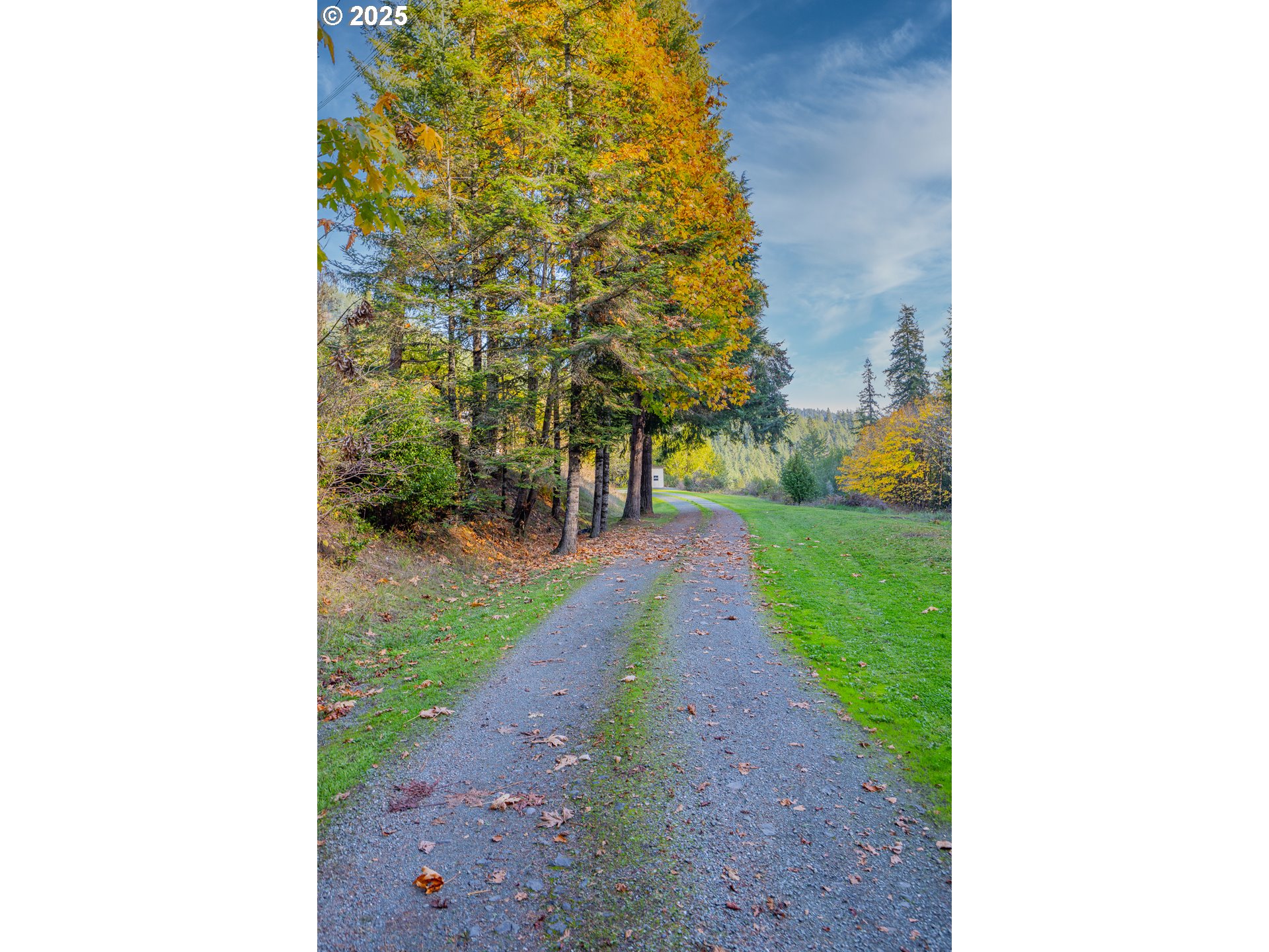 15779 Highway 42 Myrtle Point, OR 97458 - Photo 28 of 33 a view of a backyard with pathway