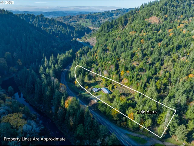 a view of a yard with plants