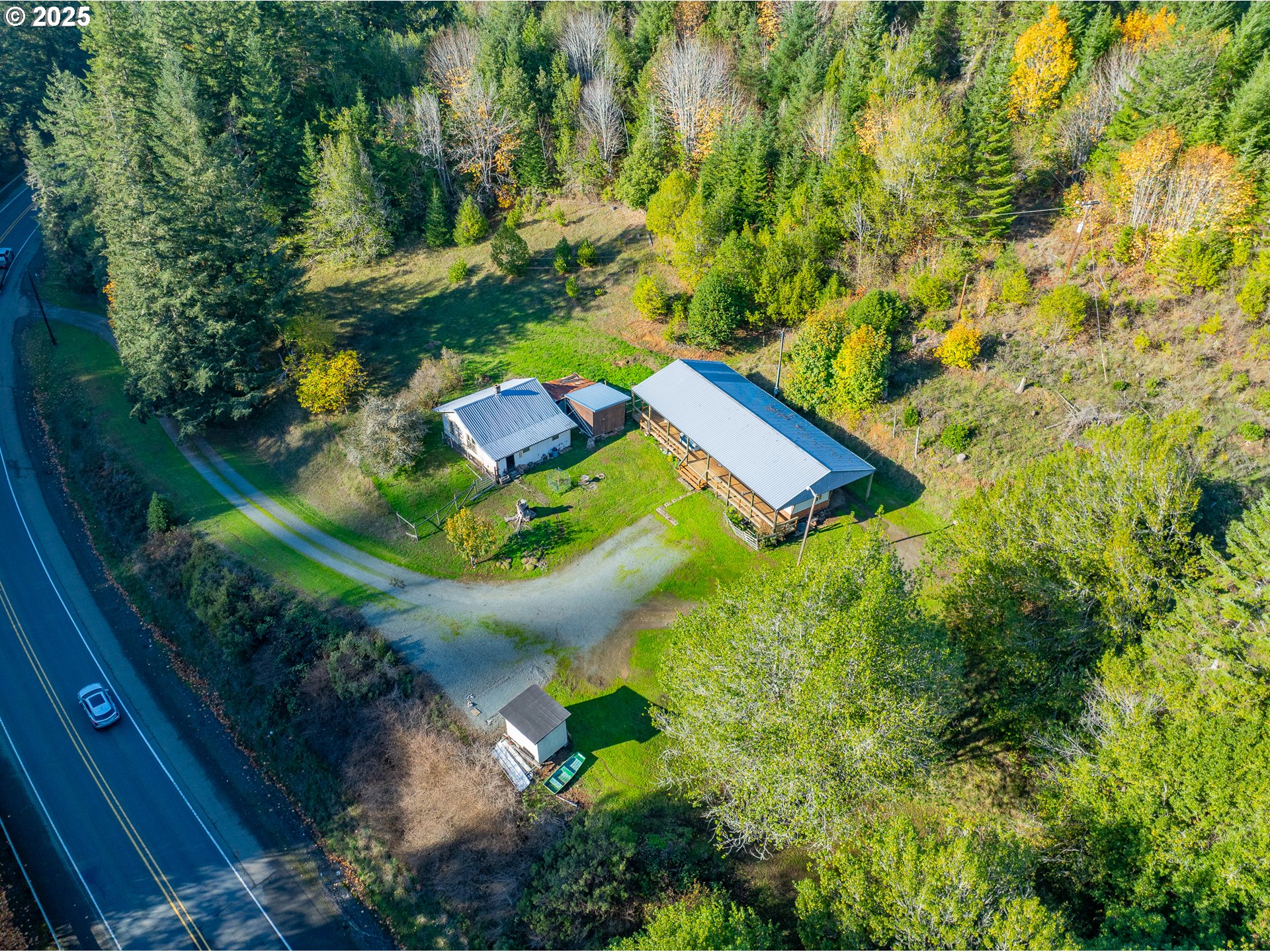 15779 Highway 42 Myrtle Point, OR 97458 - Photo 32 of 33 a view of a yard with plants