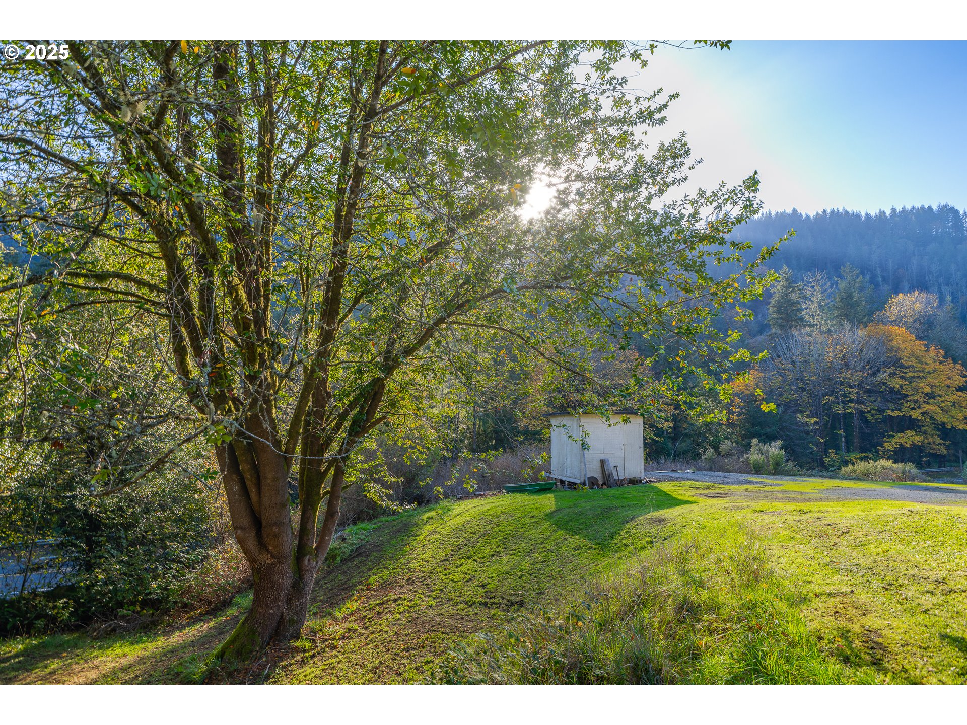 15779 Highway 42 Myrtle Point, OR 97458 - Photo 8 of 33 a backyard of a house with lots of green space