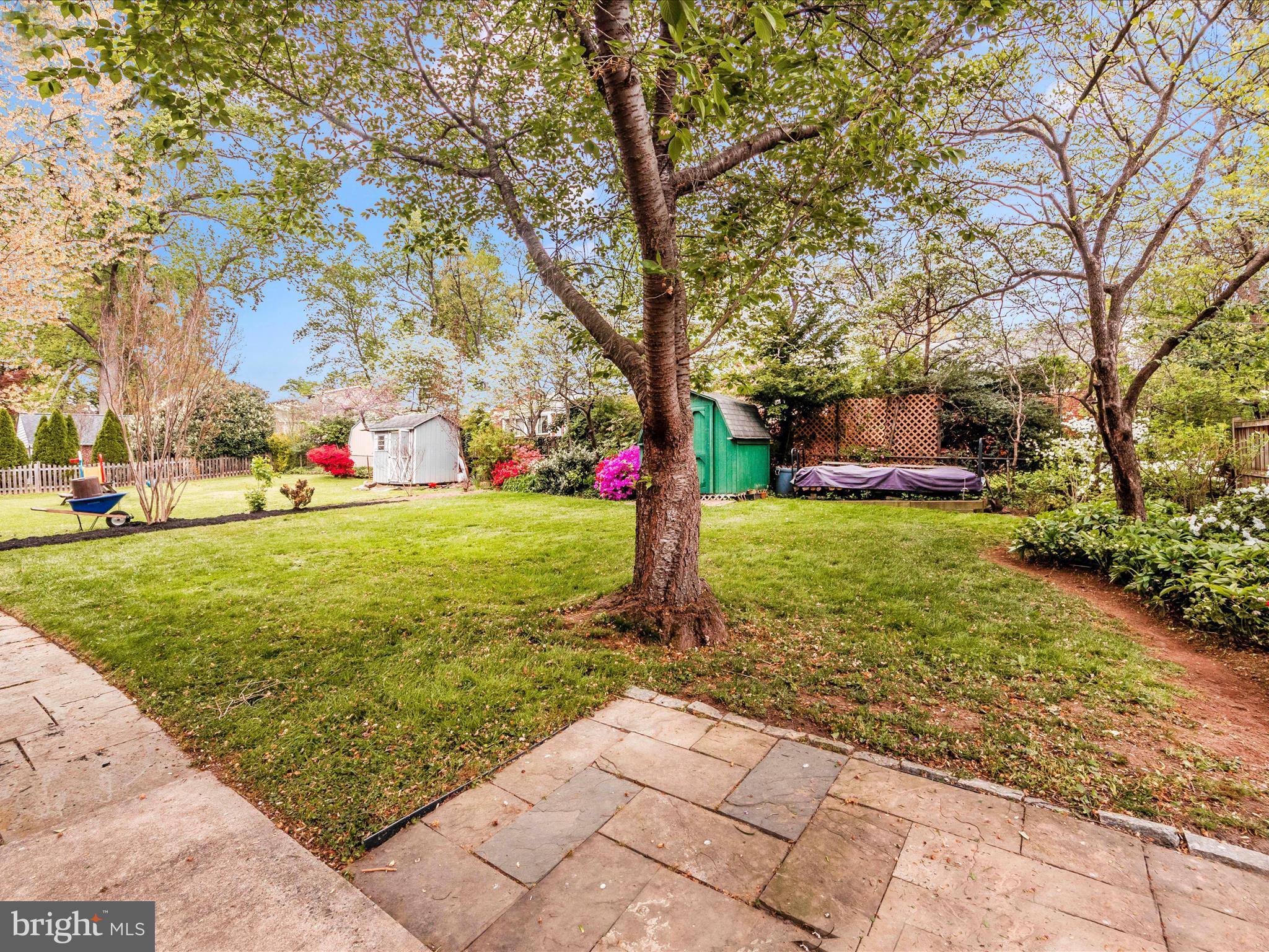 9905 Portland Road Silver Spring, MD 20901 - Photo 43 of 52 a view of a garden with a tree