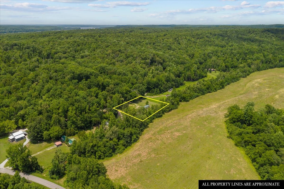 2900 Jack Branch Road Waverly, TN 37185 - Photo 29 of 51