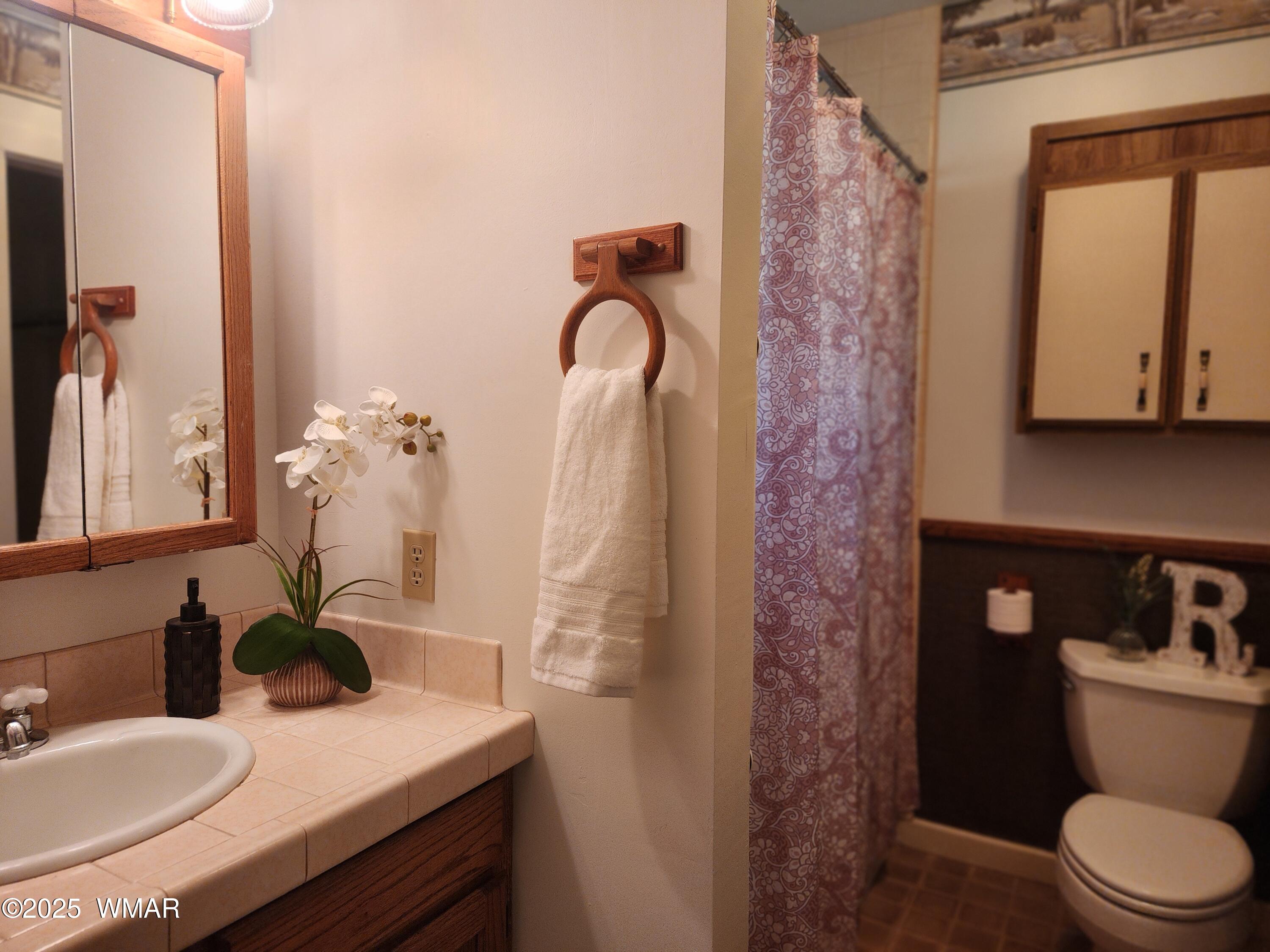 5382 Pine Dawn Road Lakeside, AZ 85929 - Photo 28 of 48 Primary bathroom - LA staging items