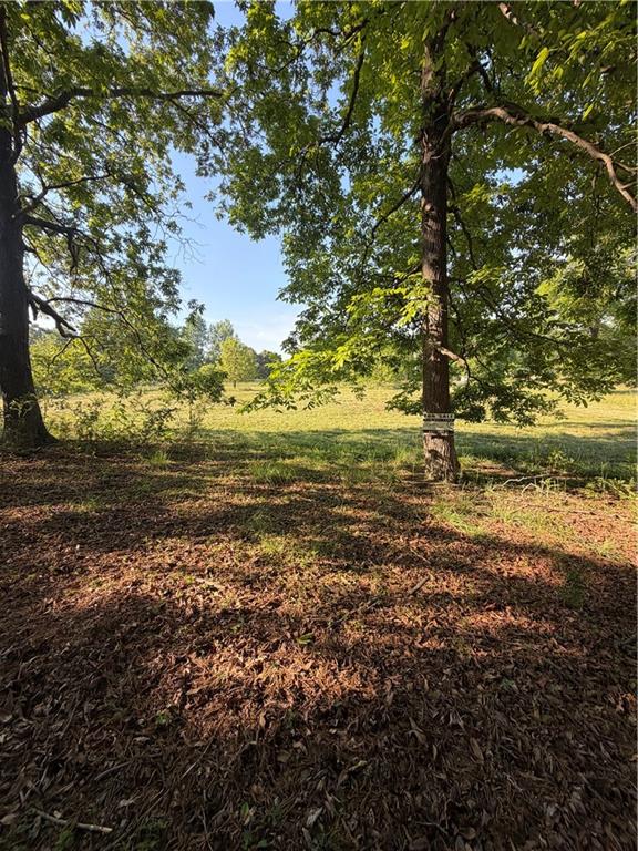 0 My Mountain Road Morganton, GA 30560 - Photo 6 of 19 a view of an ocean