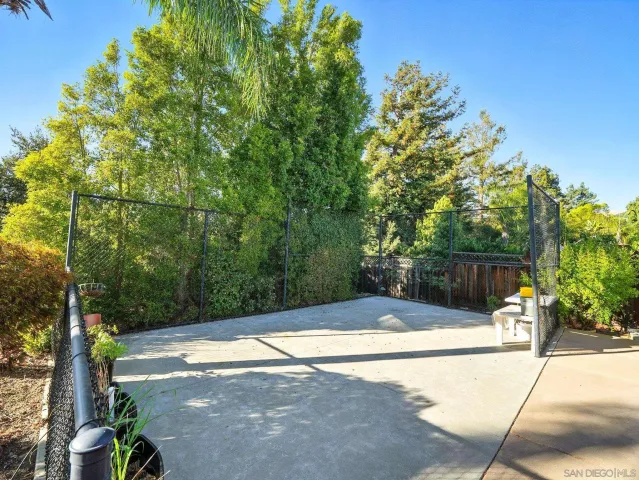 a view of a yard with plants