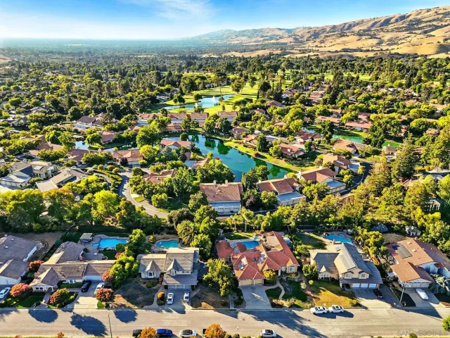 a view of a tree with a tree in front of it