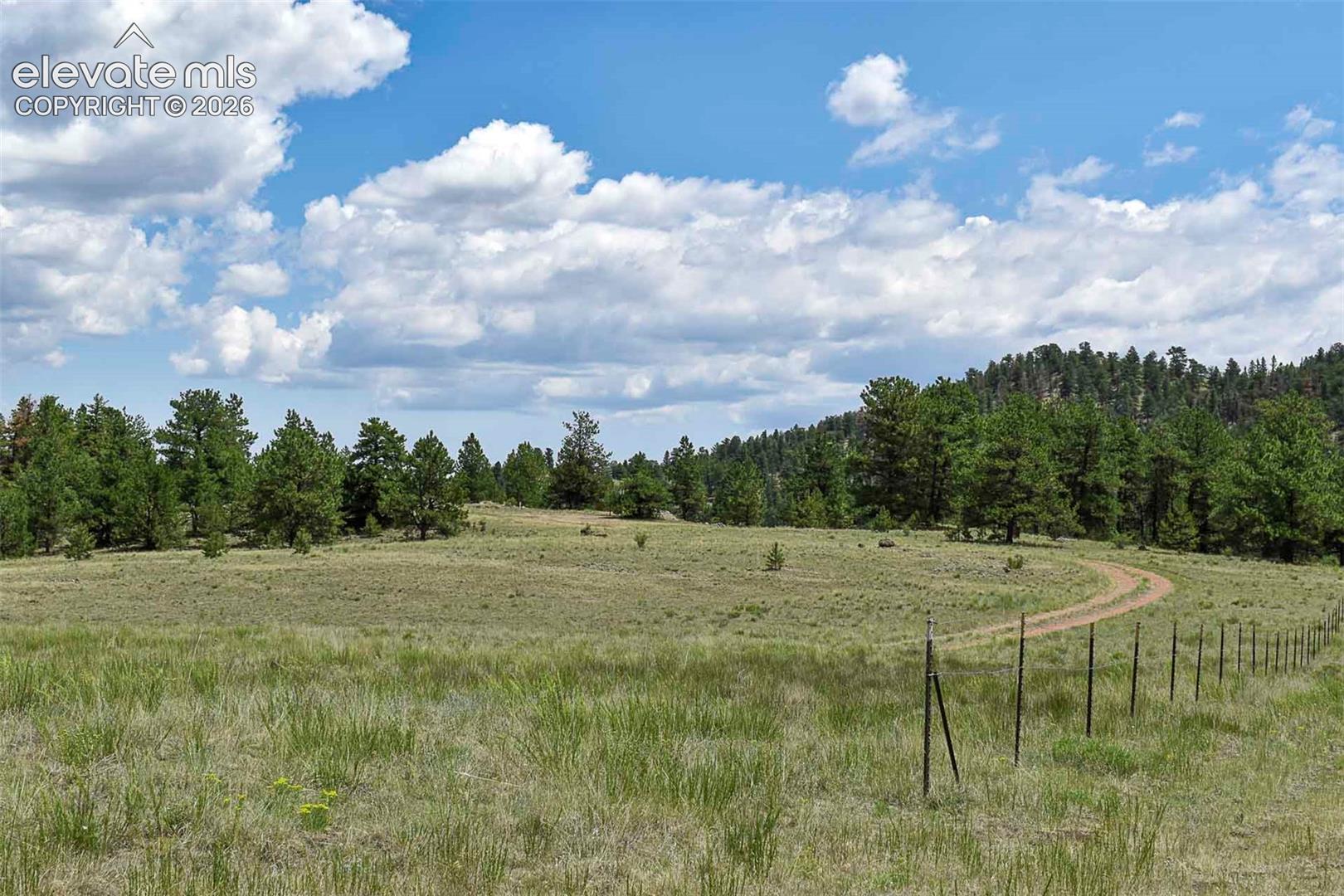 376 Copeland Road Guffey, CO 80820 - Photo 28 of 47