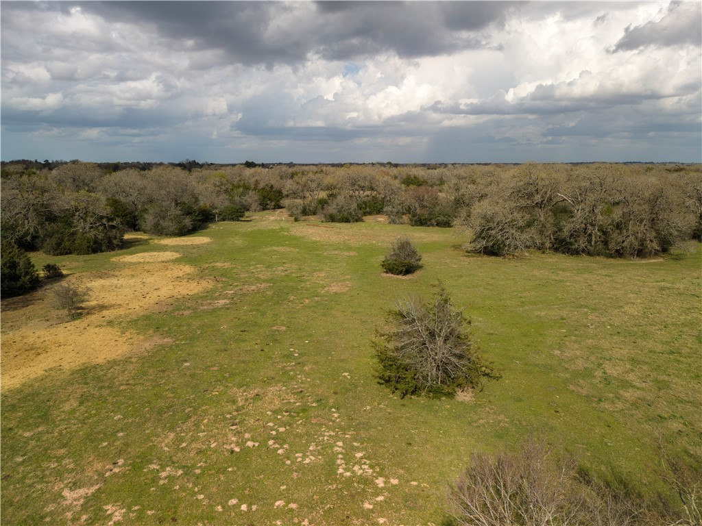 10100 Ferrill Creek Road Bryan, TX 77808 - Photo 6 of 20 a view of ocean