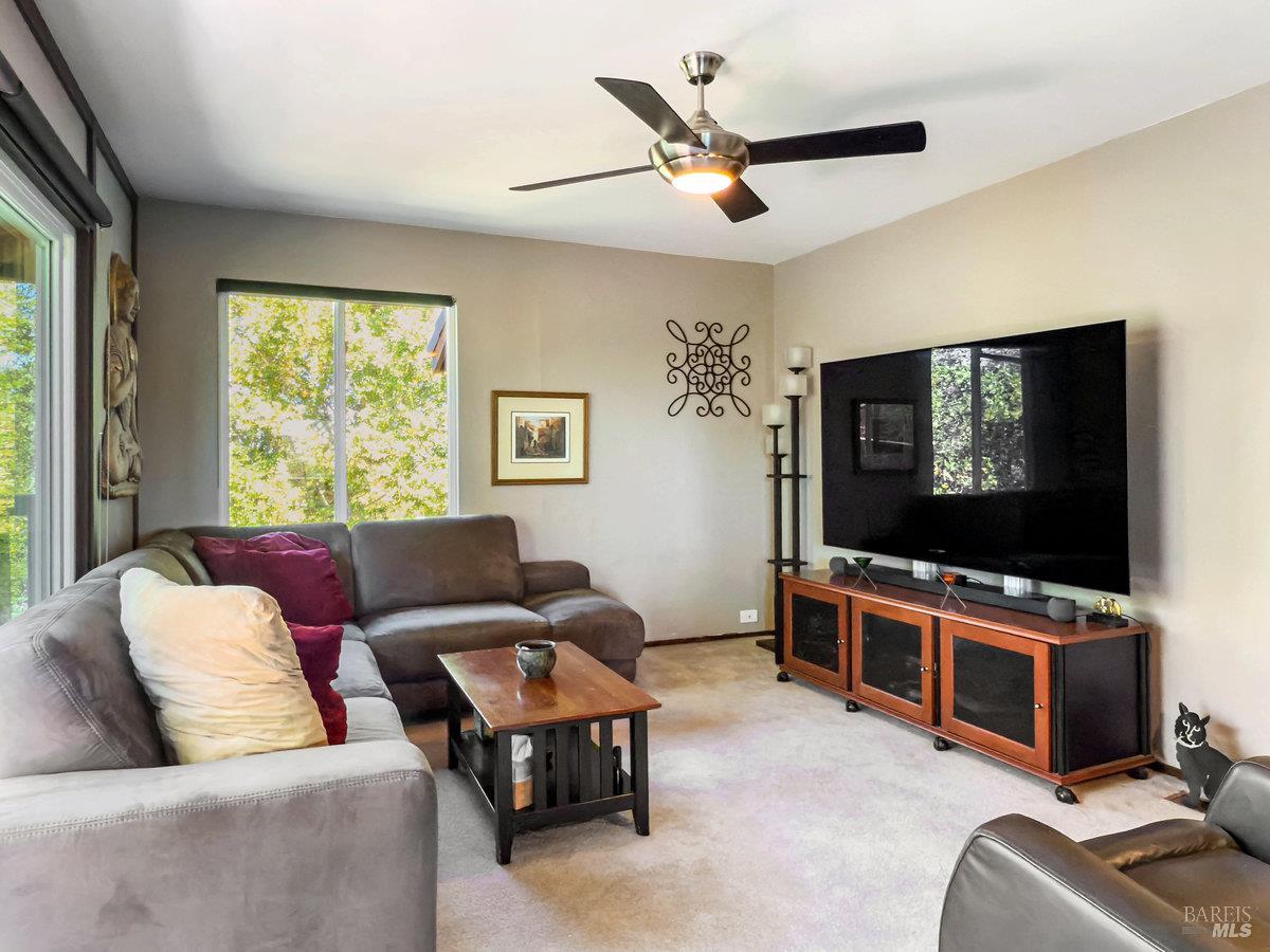 119 Oakmont Avenue San Rafael, CA 94901 - Photo 13 of 41