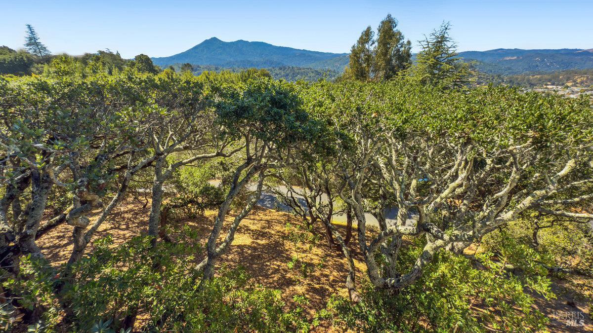 119 Oakmont Avenue San Rafael, CA 94901 - Photo 22 of 41