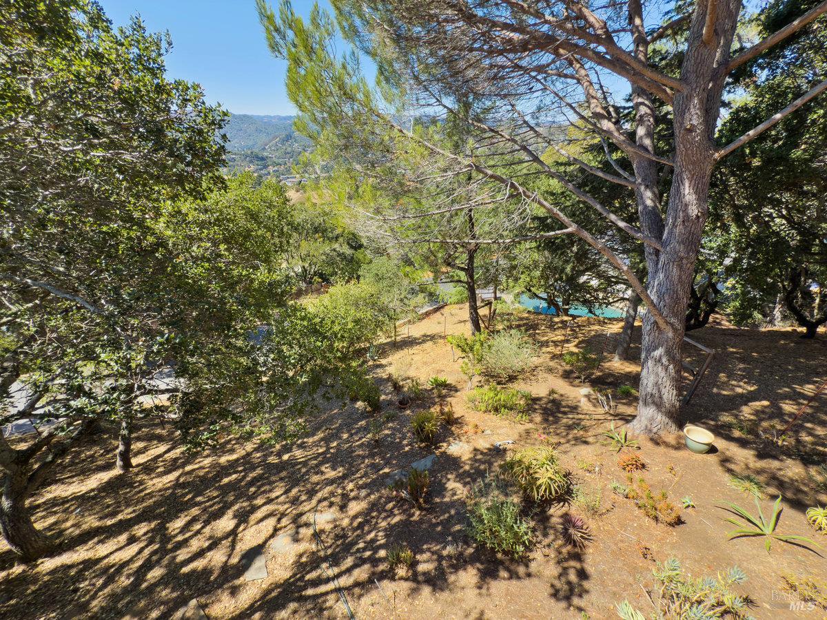 119 Oakmont Avenue San Rafael, CA 94901 - Photo 37 of 41