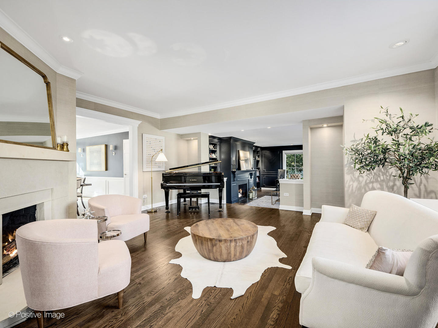 218 West Hickory Street Hinsdale, IL 60521 - Photo 5 of 51