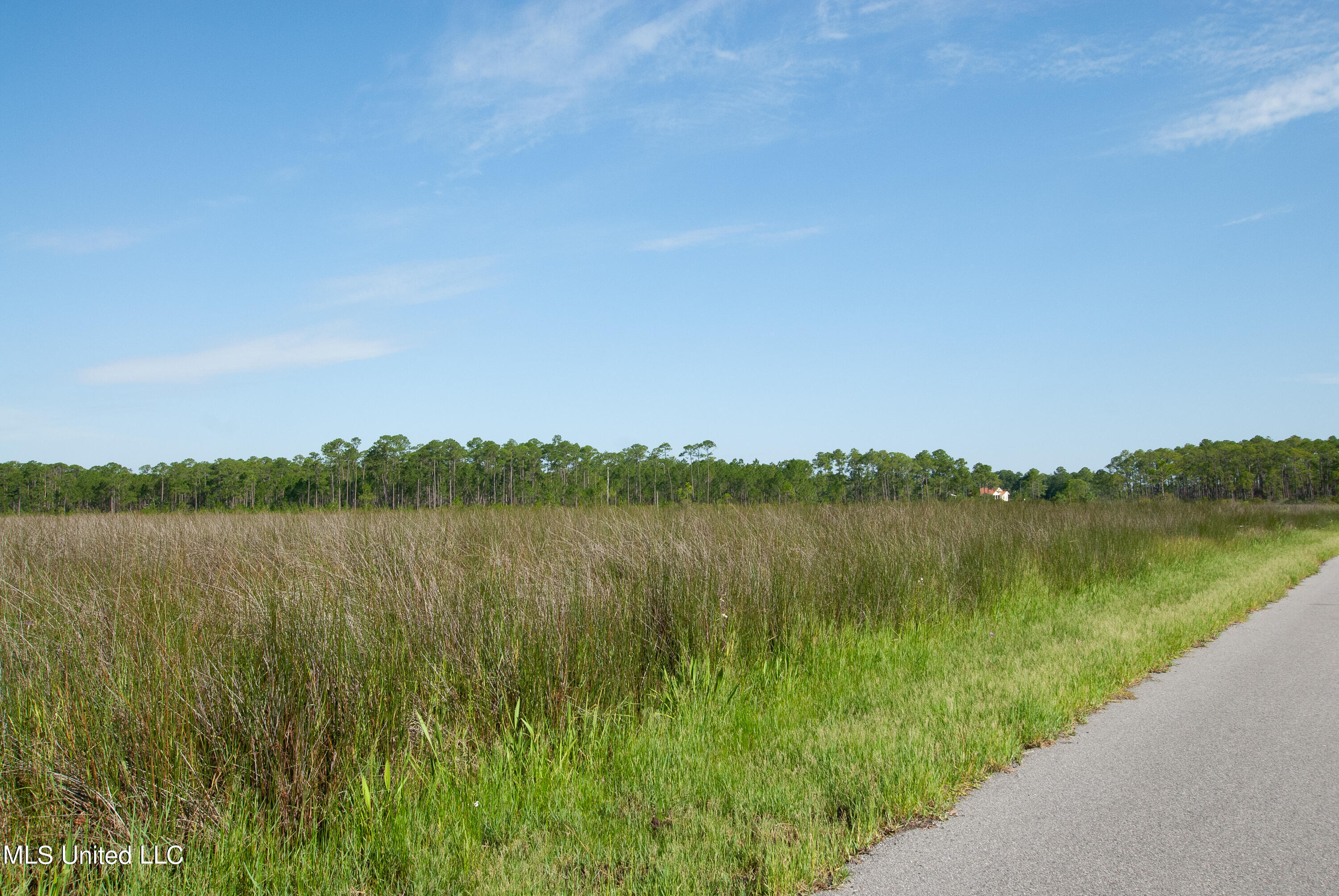 Grand Bature Road Moss Point, MS 39562 - Photo 2 of 8 DSC_0040