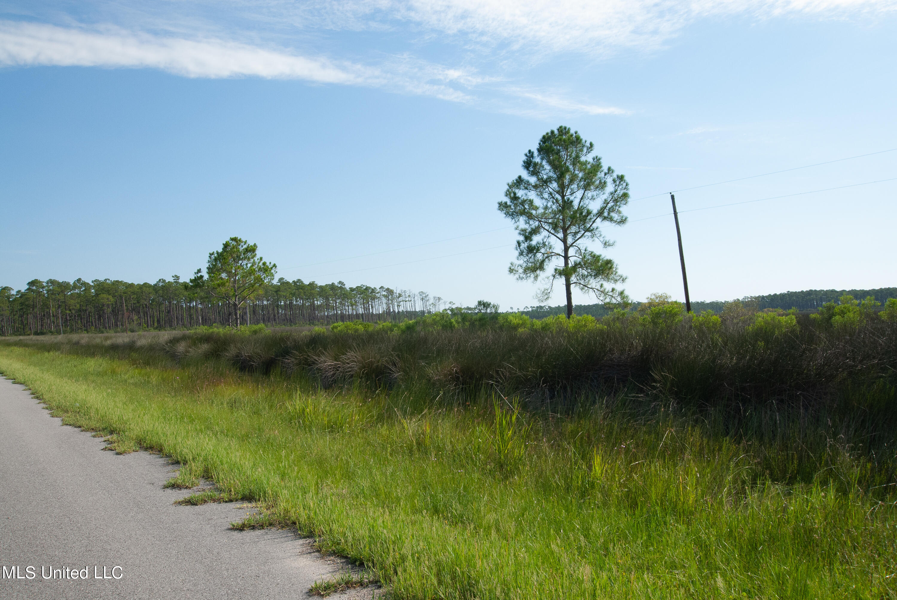 Grand Bature Road Moss Point, MS 39562 - Photo 3 of 8 DSC_0041