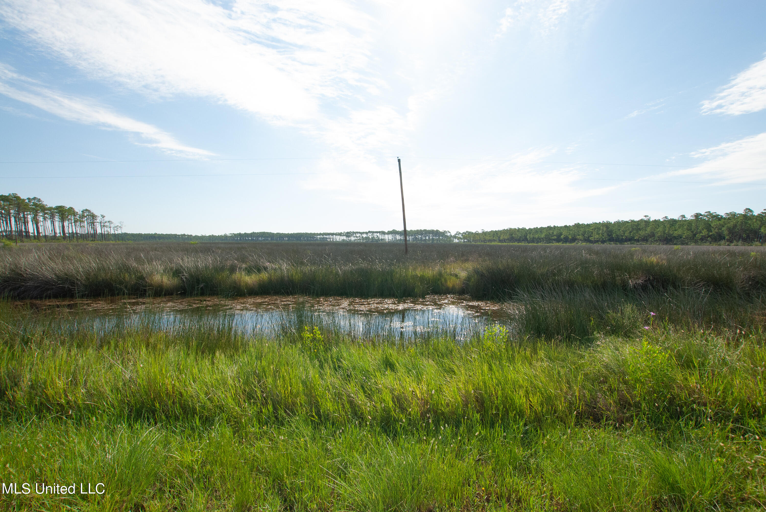 Grand Bature Road Moss Point, MS 39562 - Photo 5 of 8 DSC_0043