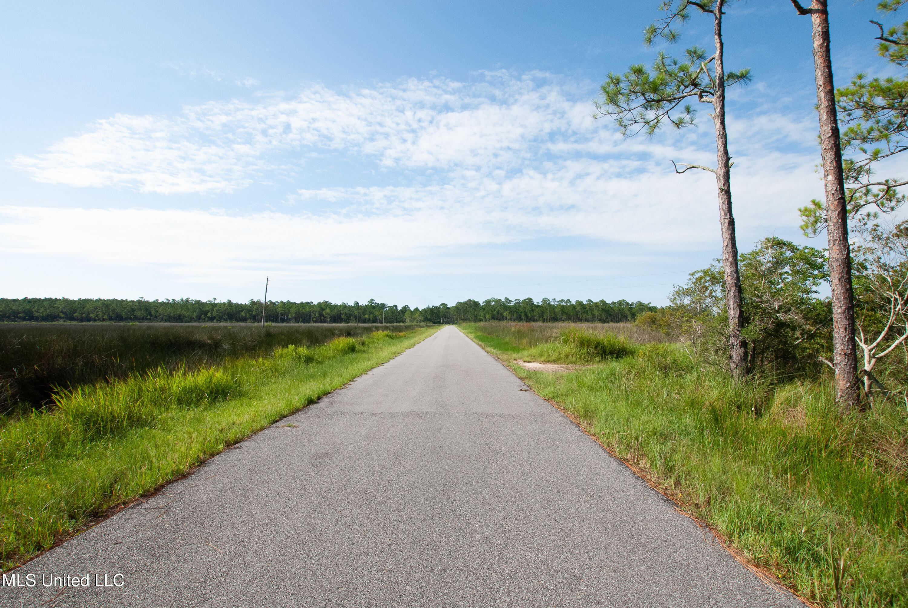Grand Bature Road Moss Point, MS 39562 - Photo 6 of 8 DSC_0044