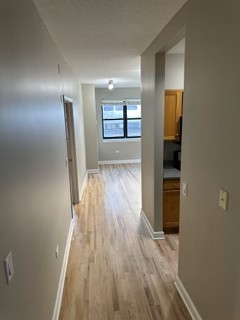 1529 South State Street, Unit 4B Chicago, IL 60605 - Photo 13 of 16 a view of hallway with wooden floor