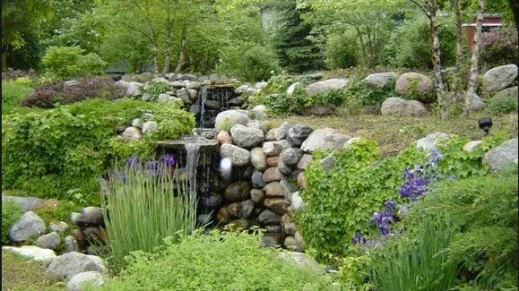 $50,000 | 2945 County Road 4 Southwest, Unit 411, Cokato, MN 55321