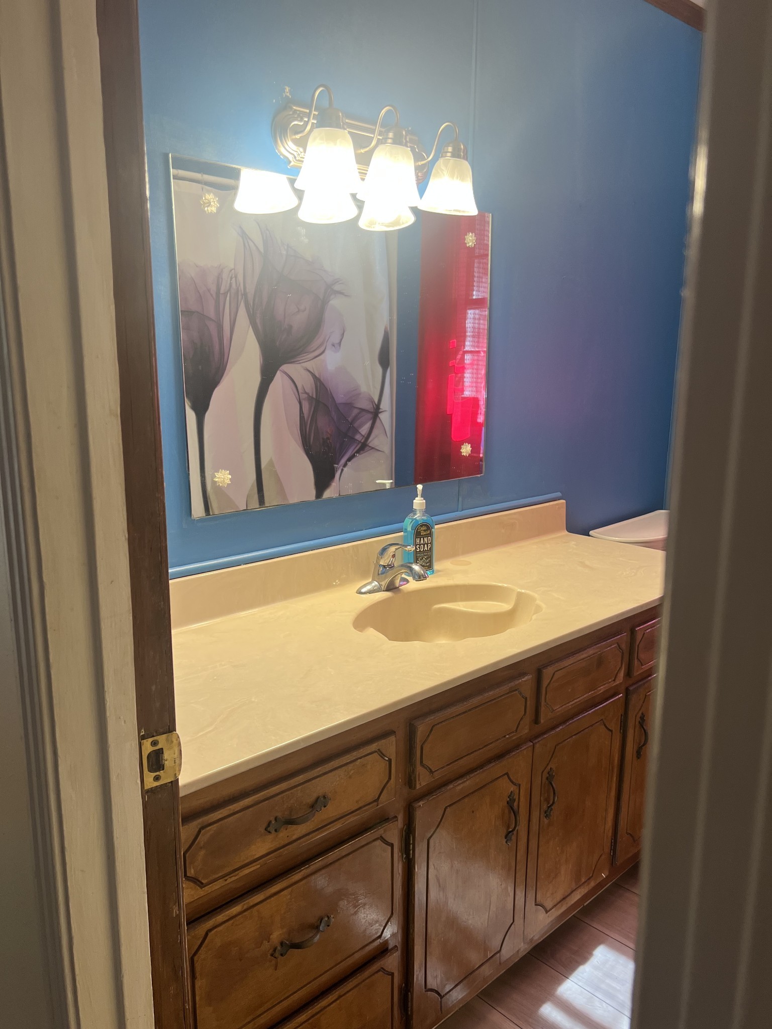 1315 Academy Road Portland, TN 37148 - Photo 16 of 29 a bathroom with a sink and a mirror