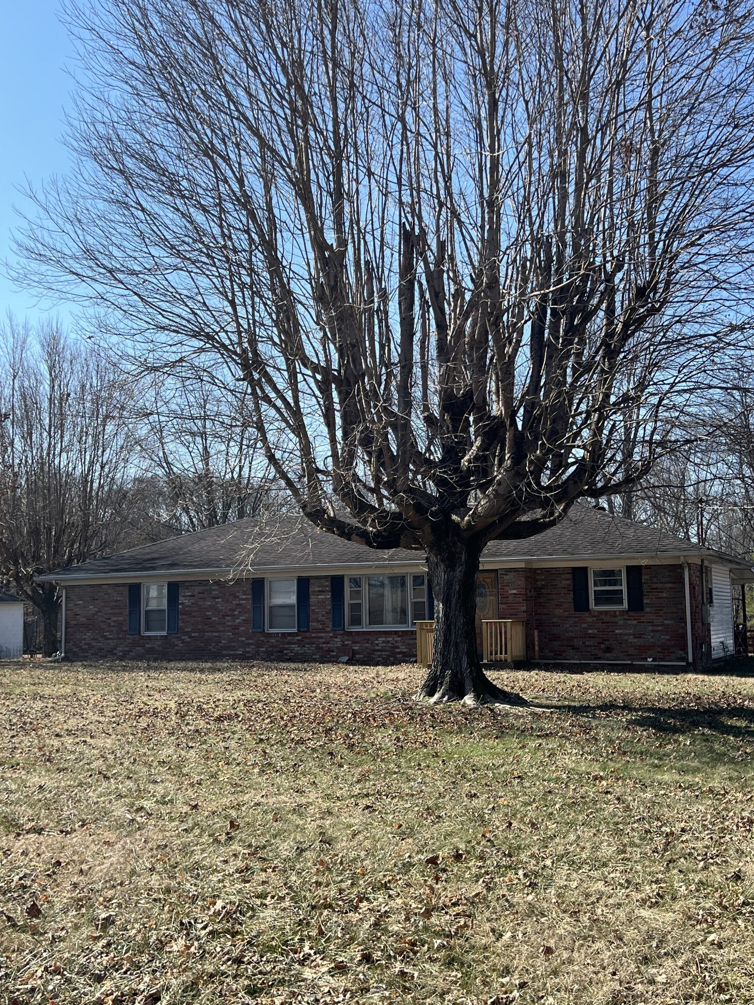 1315 Academy Road Portland, TN 37148 - Photo 3 of 29 a front view of a house with garden