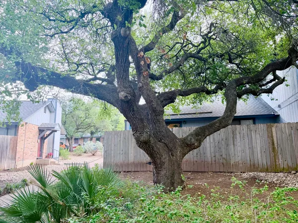 $1,600 | 1411 Gracy Farms Lane, Unit #96, Austin, TX 78758