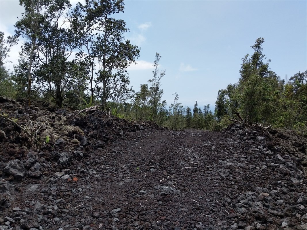 4 A Lot Captain Cook, HI 96704 - Photo 2 of 10 a view of a large yard with lots of green space