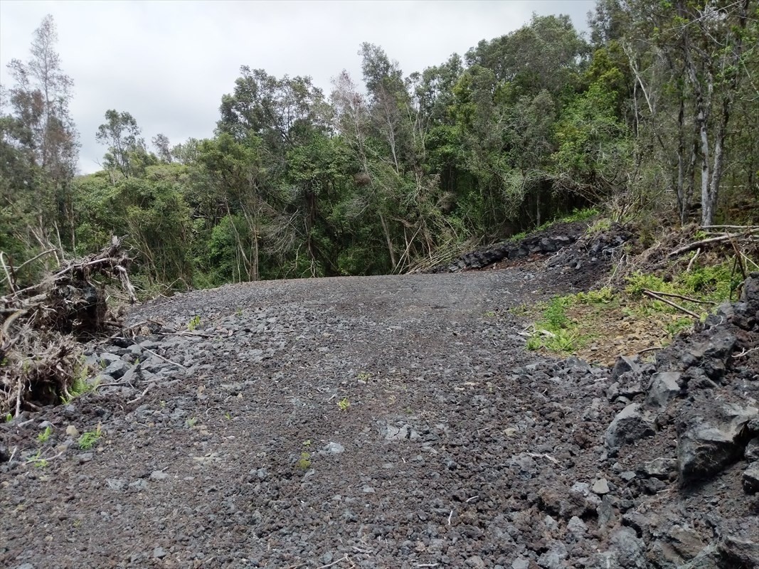 4 A Lot Captain Cook, HI 96704 - Photo 4 of 10 a view of a yard with a tree
