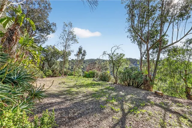 a big yard with lots of green space