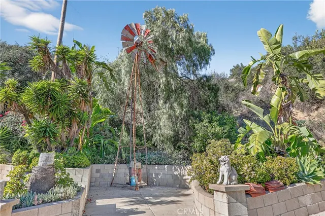 a view of a garden with plants