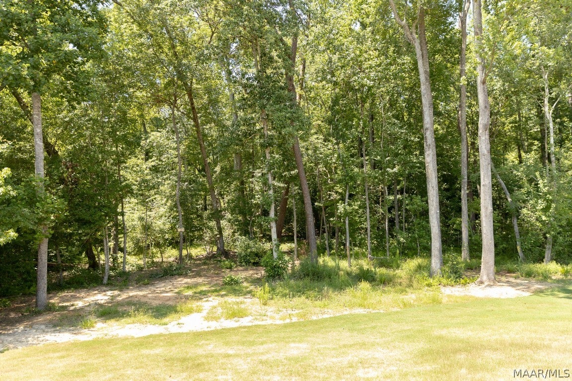 103 Prospect Ridge Road Troy, AL 36079 - Photo 31 of 31 Gallery Image 31