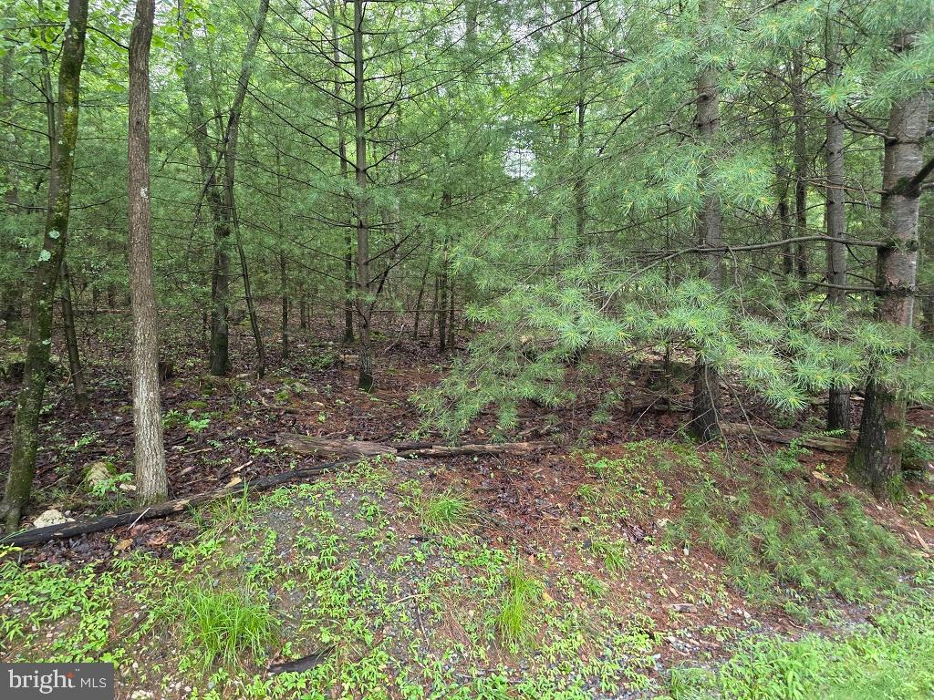 91 Hirschmann Road Biglerville, PA 17307 - Photo 1 of 4 Gallery Image 1