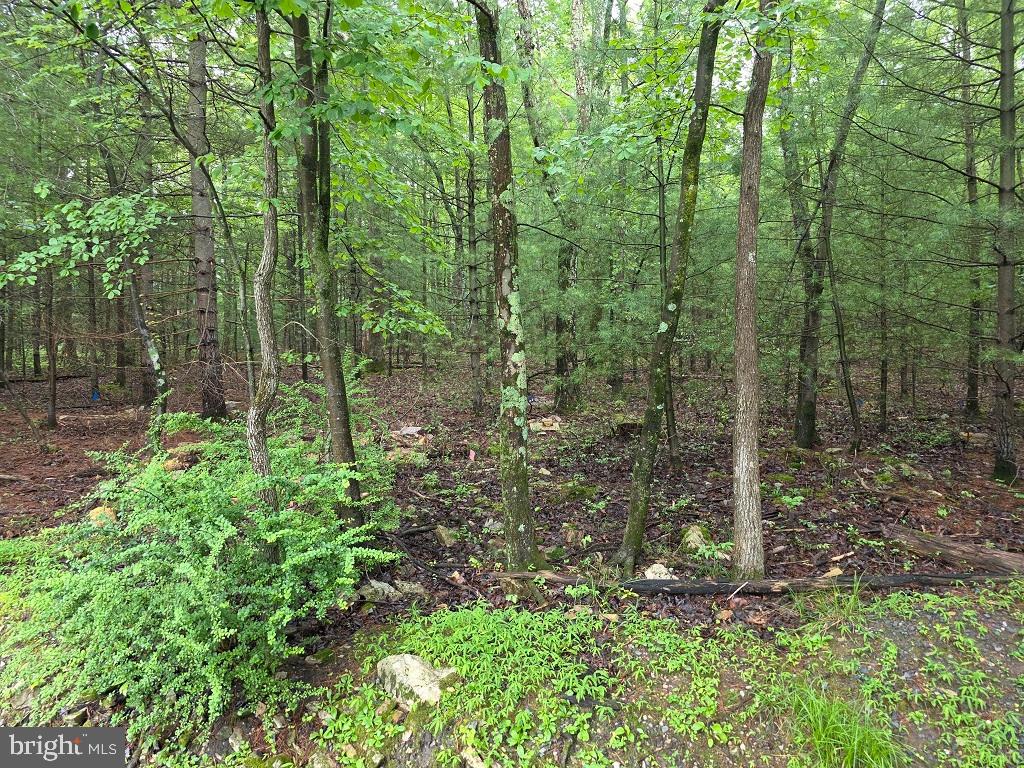 91 Hirschmann Road Biglerville, PA 17307 - Photo 2 of 4 Gallery Image 2