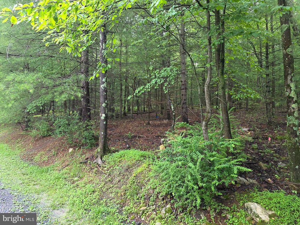 91 Hirschmann Road Biglerville, PA 17307 - Photo 3 of 4 Gallery Image 3