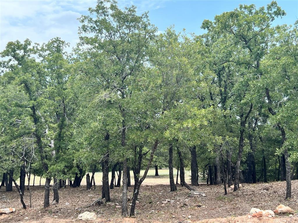 View of the 2-acre lot offering lots of trees and beautiful rolling terrain.