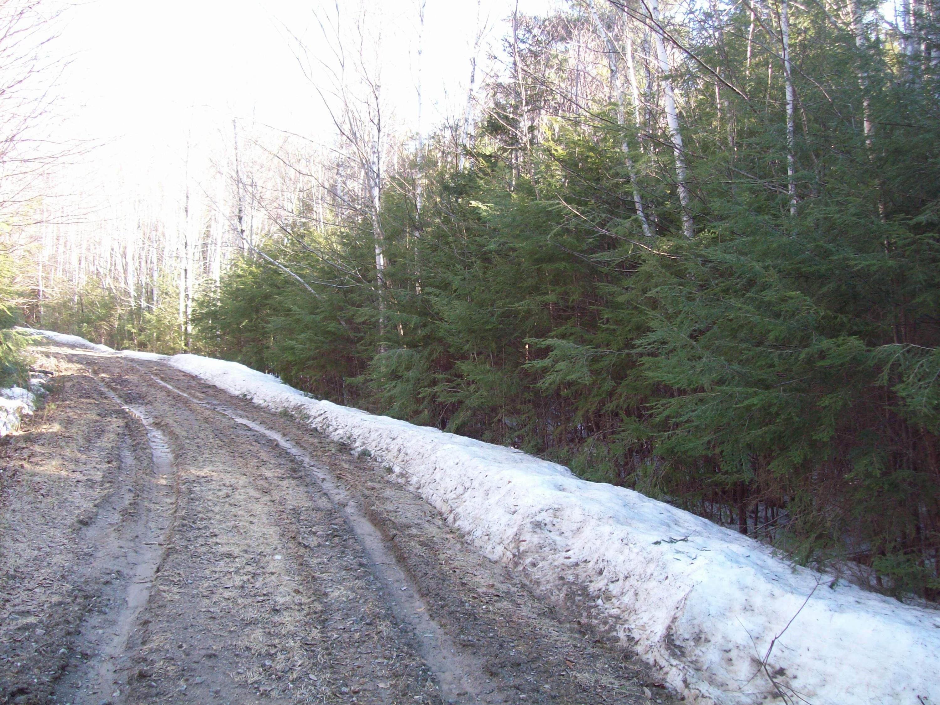 46 Pickerel Point Road Lakeville, ME 04487 - Photo 24 of 25 100_2656