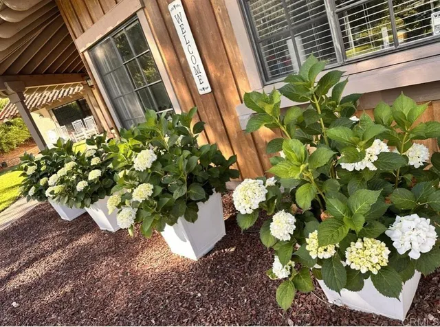 $1,799,997 | 9824 Quail Canyon Road, El Cajon, CA 92021