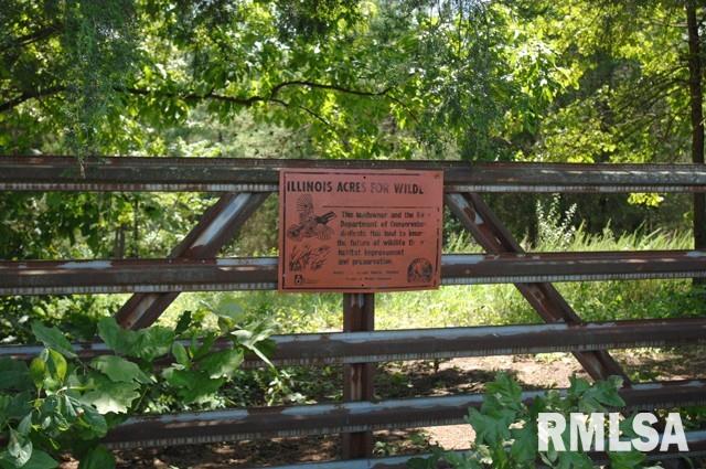 7-8 Tract 7&8 Trigg Tower Road Simpson, IL 62985 - Photo 5 of 16