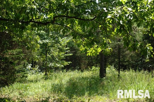 7-8 Tract 7&8 Trigg Tower Road Simpson, IL 62985 - Photo 8 of 16