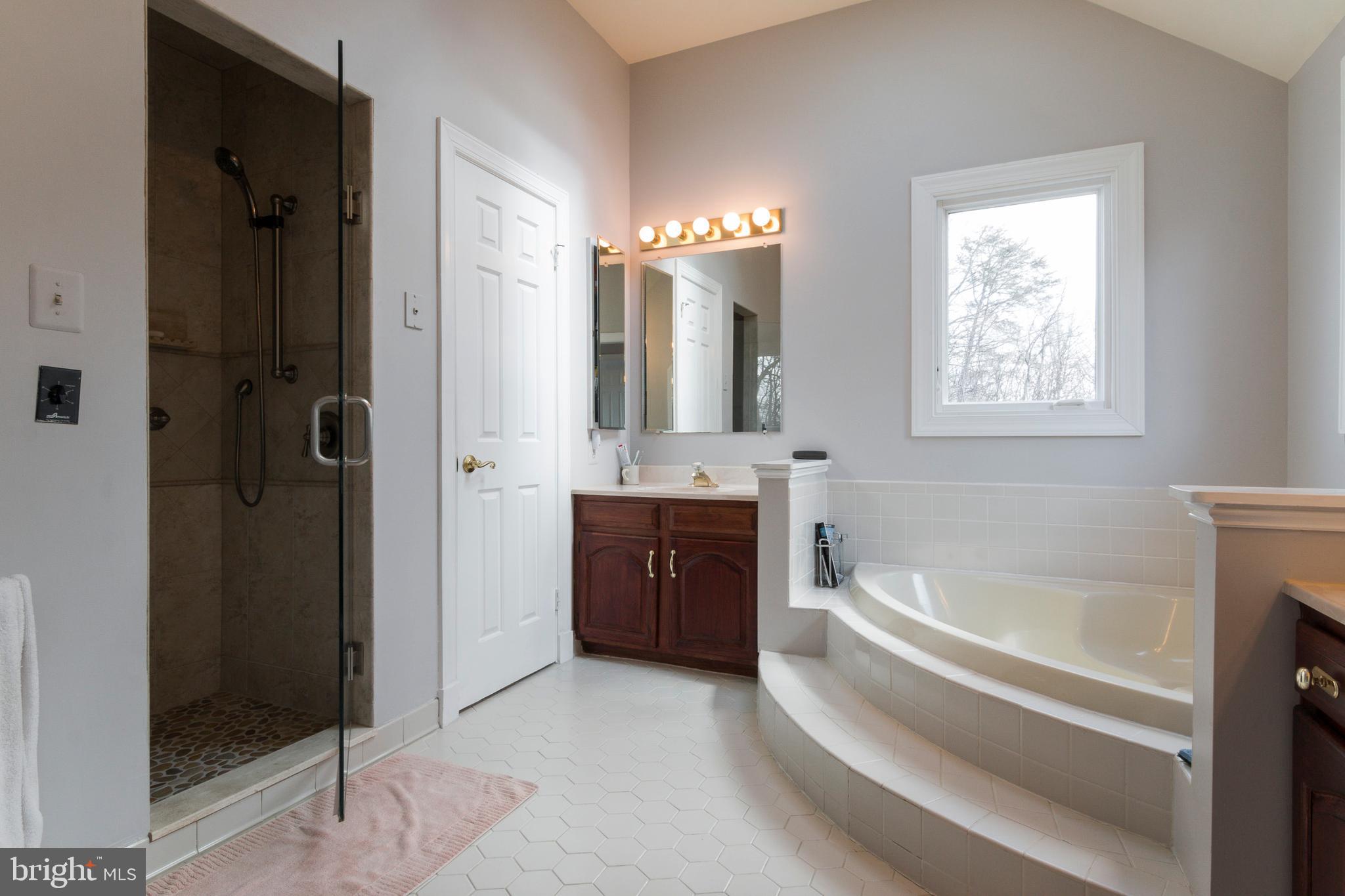 533 Post Oak Road Annapolis, MD 21401 - Photo 38 of 65 Separate shower and bath in master